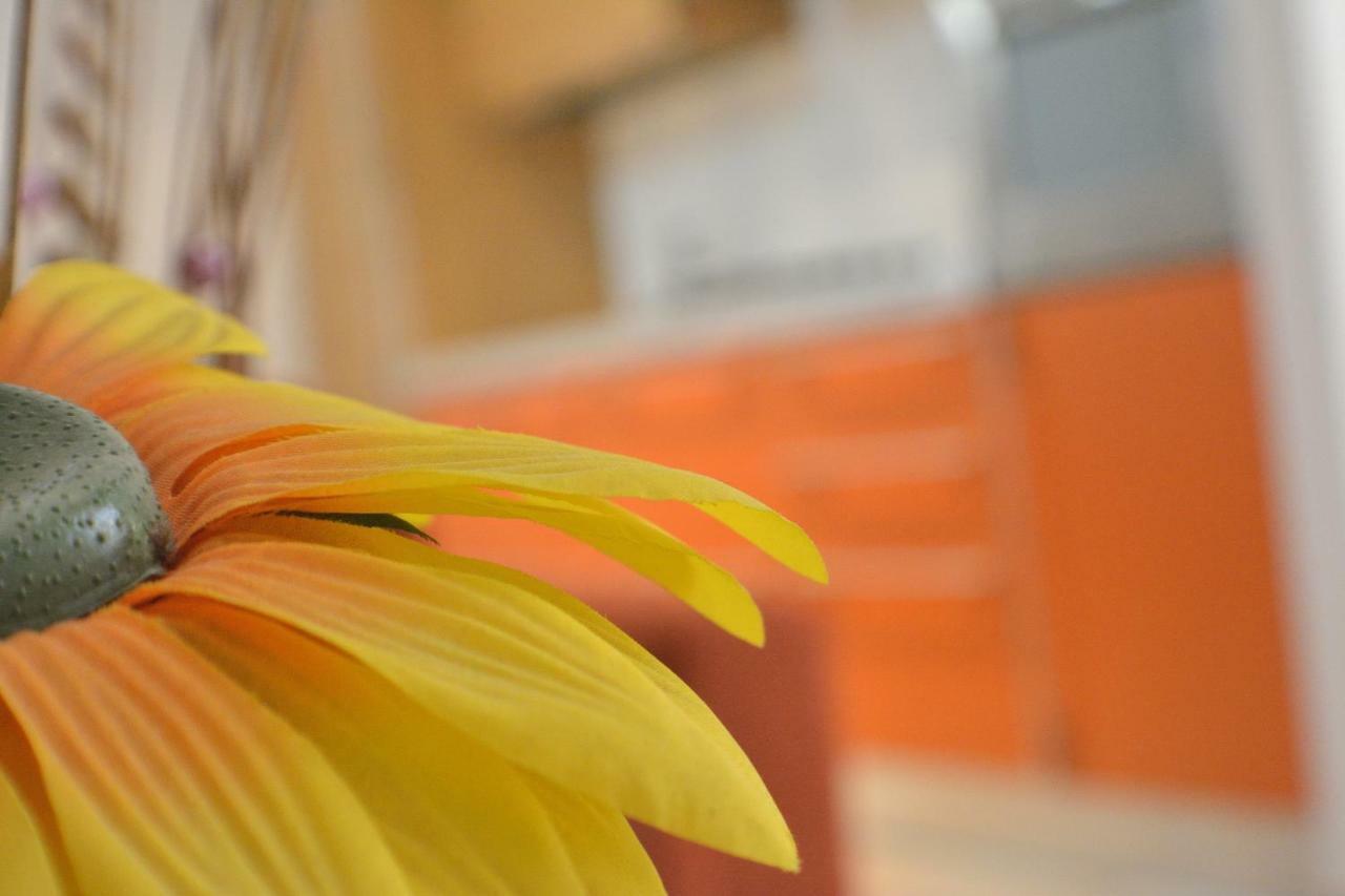 Borgo Saraceno Holiday home *